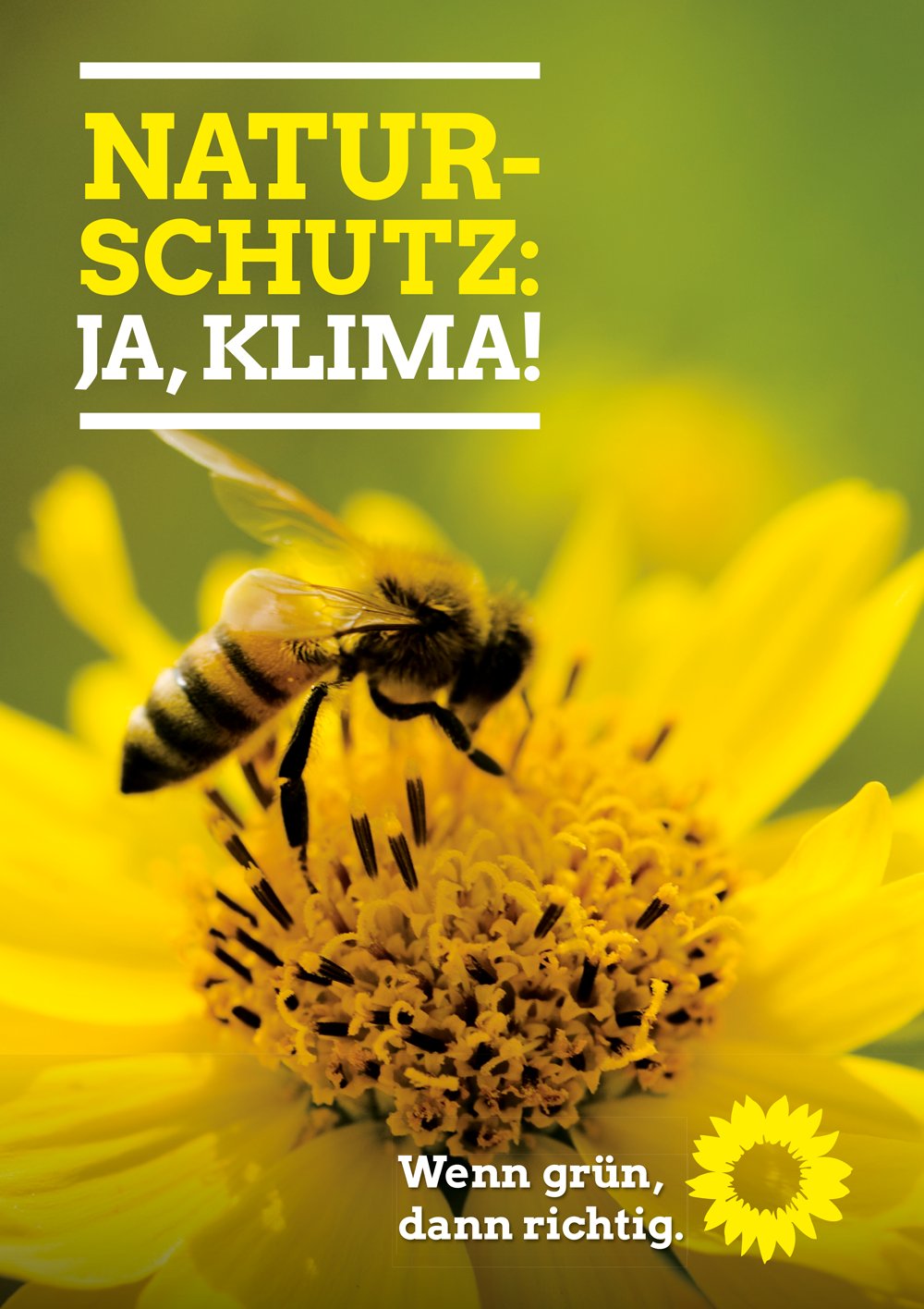 „Umwelt-, Naturschutz und erneuerbare Energien: Mehr Grün für Hameln“