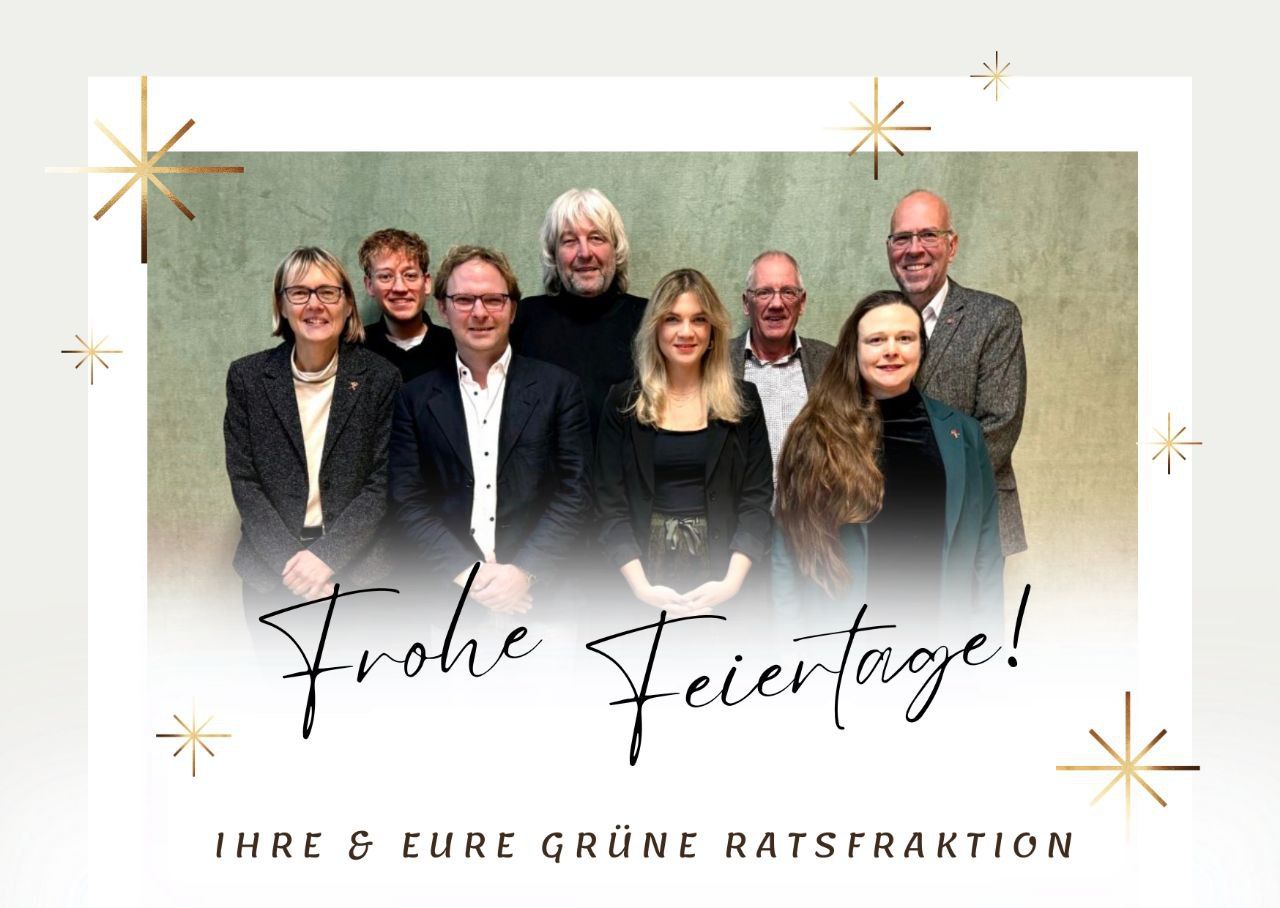 Weihnachtsgrüße der Hamelner Grünen Stadtratsfraktion