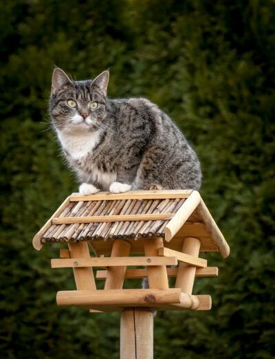 679359 original r by radka schÃ¶ne pixelio.de