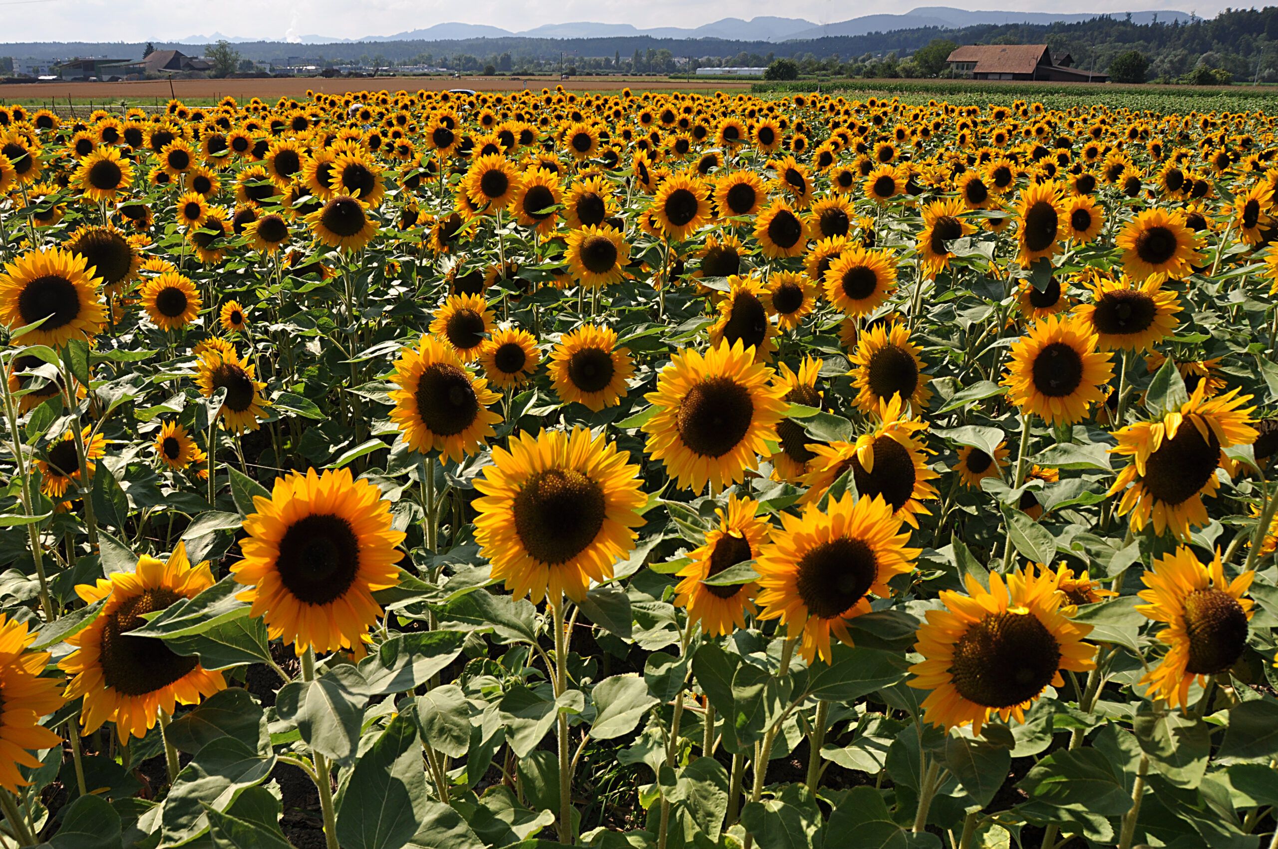 657693 original r k b by berggeist007 pixelio.de