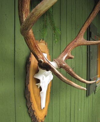 521749 web r k b by rainer sturm pixelio.de