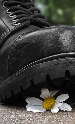 Britta Kellermann MdL: Der Nährboden für rechte Gewalt im Weserbergland wächst – und mit ihm die Gewalt