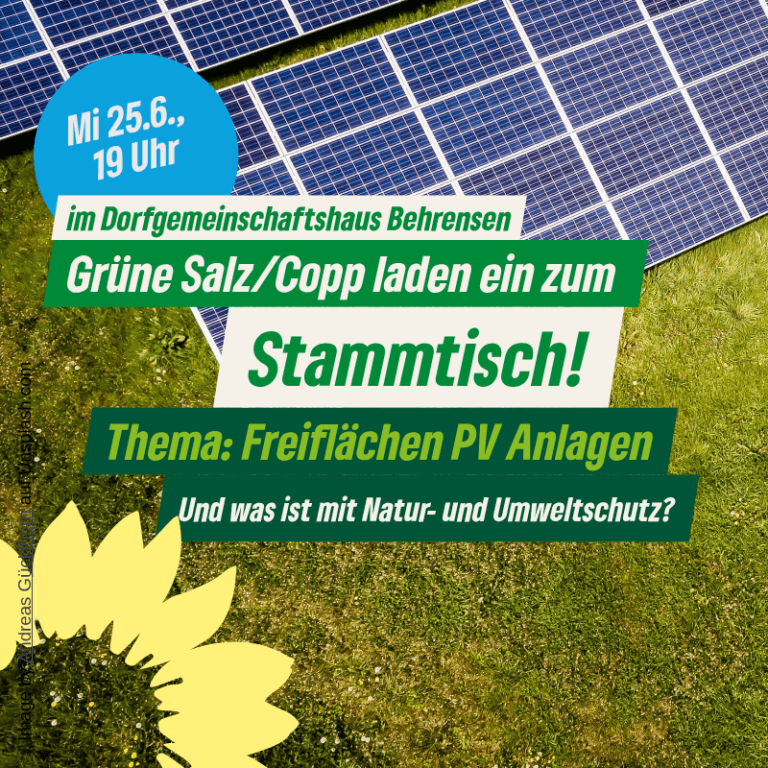 Grüner Stammtisch in Coppenbrügge: AG Freiflächen-PV stellt Pläne vor – Naturschutz im Fokus