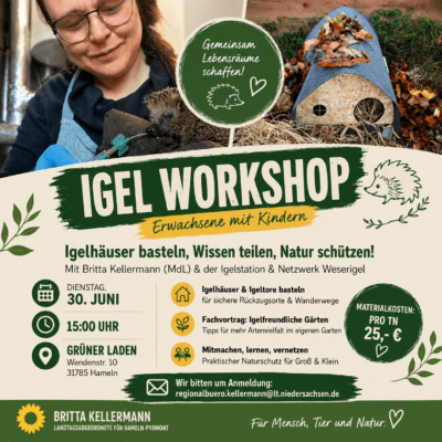igelworkshop